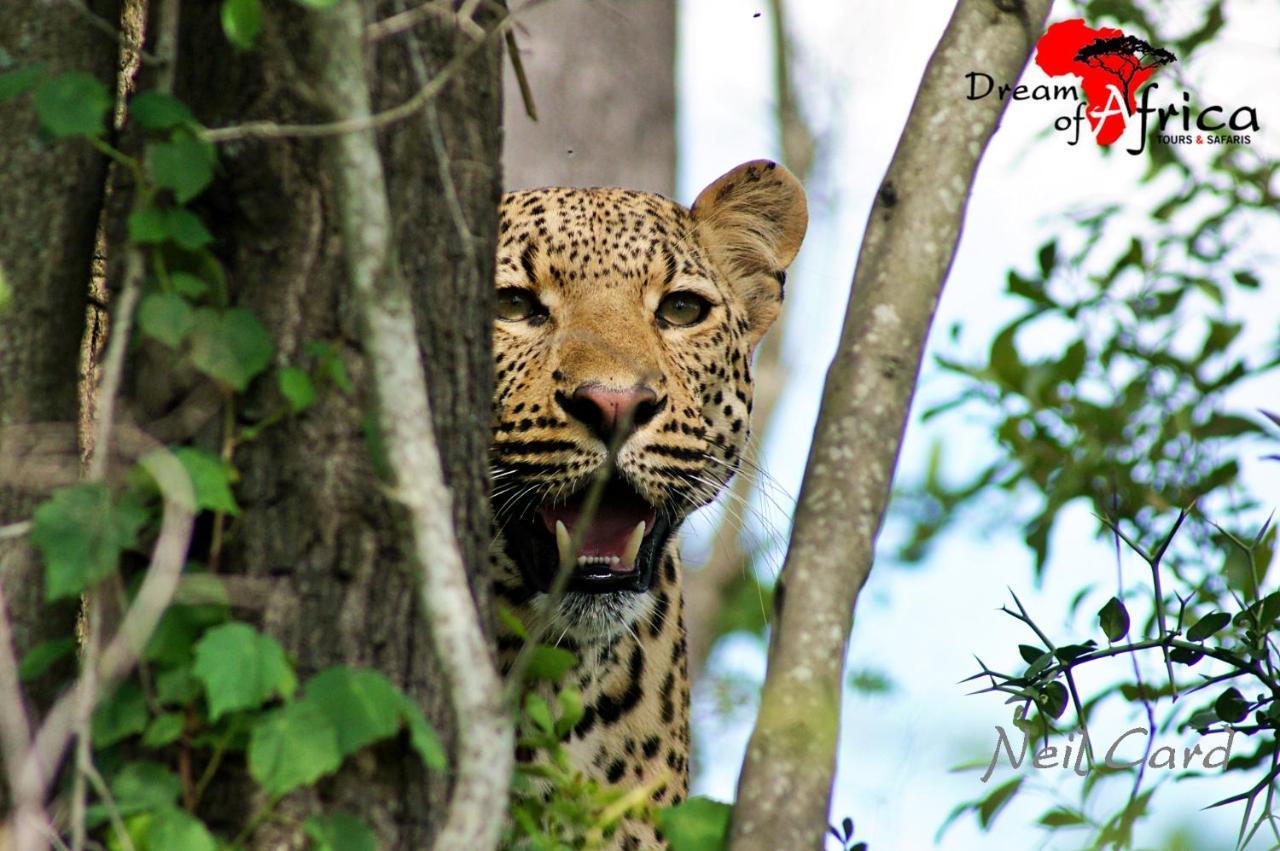 Dream Of Africa Bush Lodge Marloth Park Exterior foto