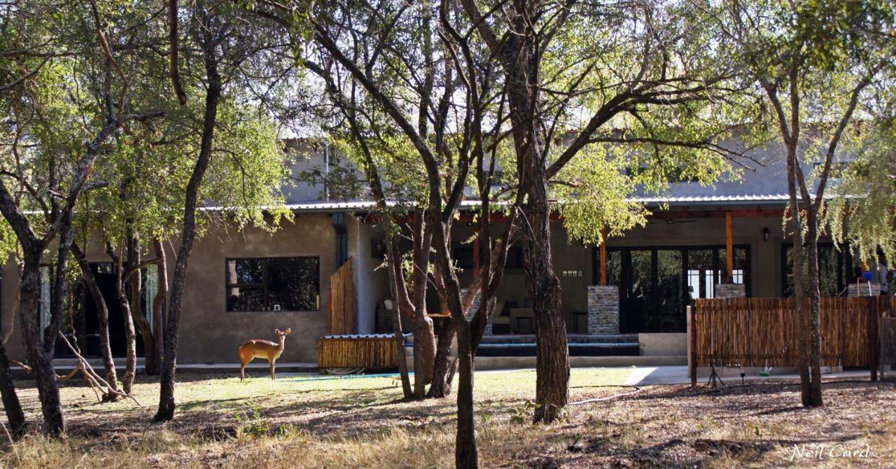 Dream Of Africa Bush Lodge Marloth Park Exterior foto